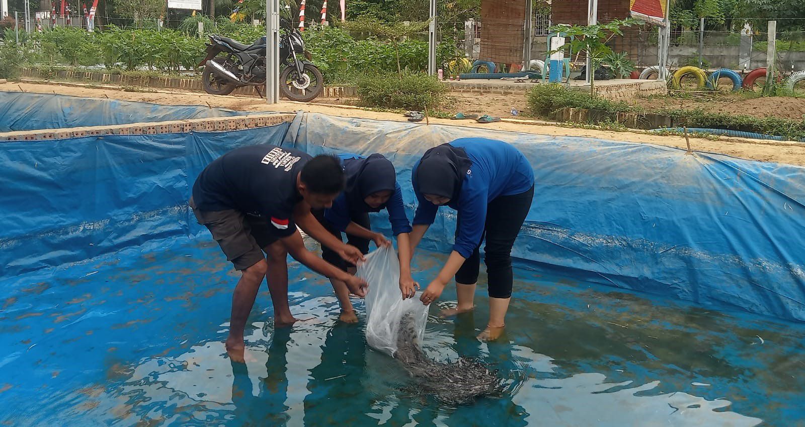 Ilustrasi kelompok pembudidaya ikan. (istimewa)